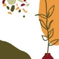Top Seasonal Plants to Keep Your Curb Appeal Fresh All Year