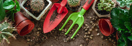 Garden Tool Storage Solutions: Sheds, Racks, and Portable Organizers
