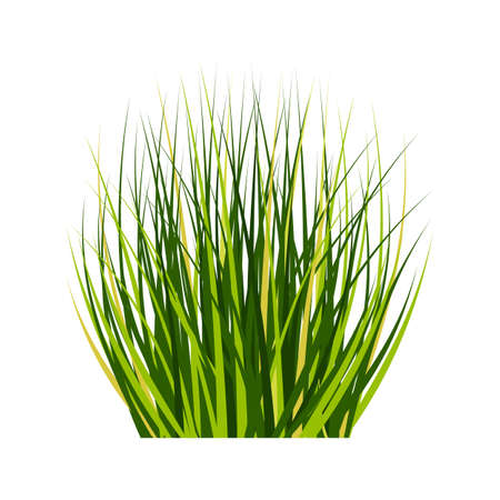 Chemical Overload: Fertilizers and Pesticides