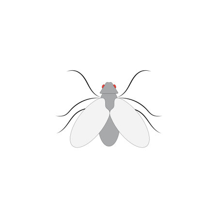 Understanding the Relationship Between Native Pollinators and Local Ecosystems