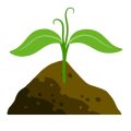 How to Conserve Water in Your Backyard Garden with Efficient Irrigation