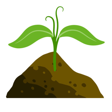 How to Conserve Water in Your Backyard Garden with Efficient Irrigation