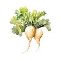Indoor Herb Garden Troubleshooting: Common Problems and How to Fix Them