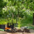 DIY Seasonal Landscaping Projects That Add Instant Charm