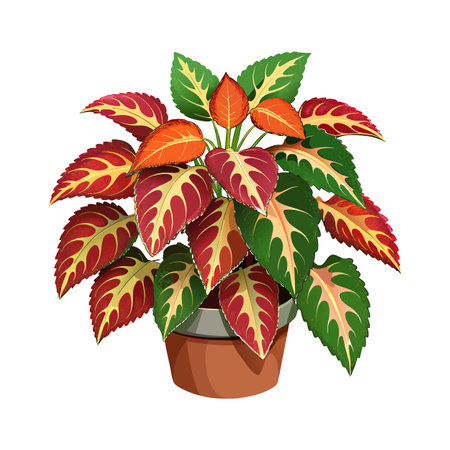 Prep Your Plant and Pot