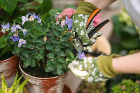 The Best Annuals and Perennials for Cut Flower Arrangements