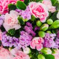 Color Theory in Cut Flower Gardening: Designing for Bouquets and Beauty