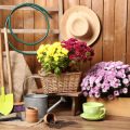 Decorative Landscaping Accents for Every Season