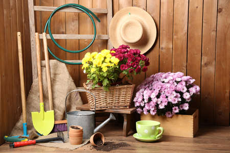 Decorative Landscaping Accents for Every Season