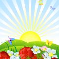 Sunny Spots and Simple Plants: Full-Sun Garden Ideas for Beginners