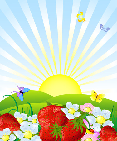 Sunny Spots and Simple Plants: Full-Sun Garden Ideas for Beginners