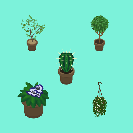 Essential Moisture-Related Gardening Terms
