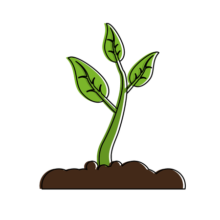 Choosing Seeds: Finding the Right Plants for Your Home and Climate
