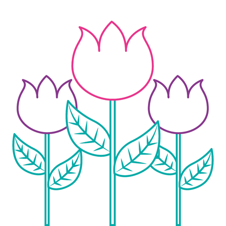 How to Source Exotic Flower Bulbs Responsibly
