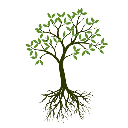 Benefits of Planting Native Species in Local Soils