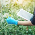 Smart Fertilization: How Automated Fertilizer Dispensers Are Changing Soil Management