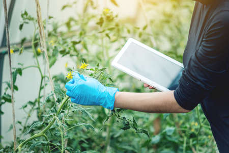 Smart Fertilization: How Automated Fertilizer Dispensers Are Changing Soil Management