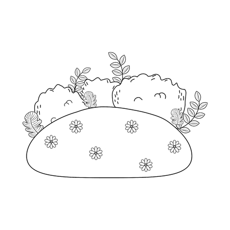 Watering: The Delicate Balance