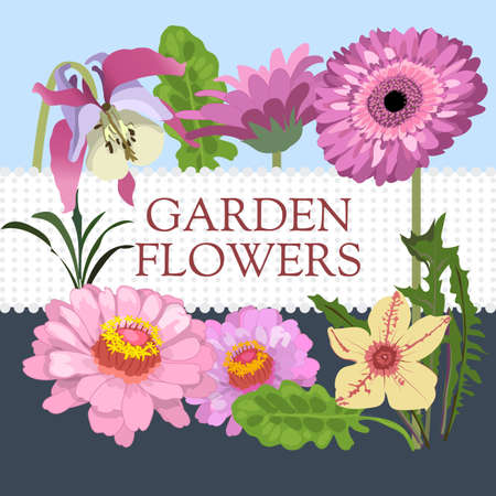 Selecting Easy-to-Grow Plants