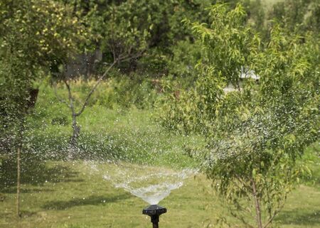 Watering Smarter: Understanding Soil Moisture, Timing, and Smart Irrigation Controllers