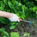 Fertilizer Terms 101: Understanding NPK and Other Key Concepts