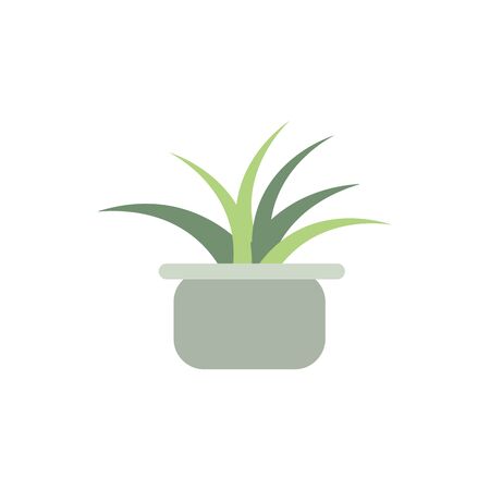 Overwatering vs. Underwatering: How to Get it Right