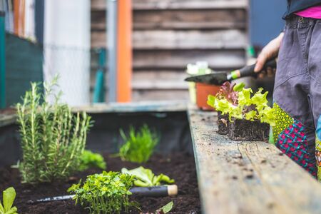 Urban Vegetable Gardening: Maximizing Space in Small Backyards