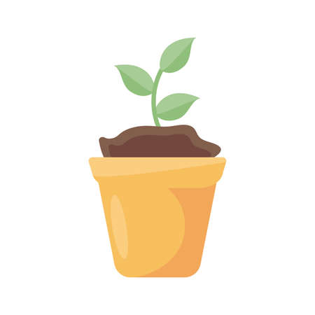 Choosing Organic Soil and Compost