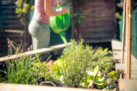 The Impact of Neglected Tools on Soil Health and Plant Growth