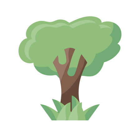 Common Shade Trees and Turf Grasses Affected