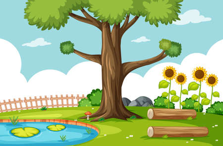 How to Use Warm and Cool Colors to Shape Garden Moods