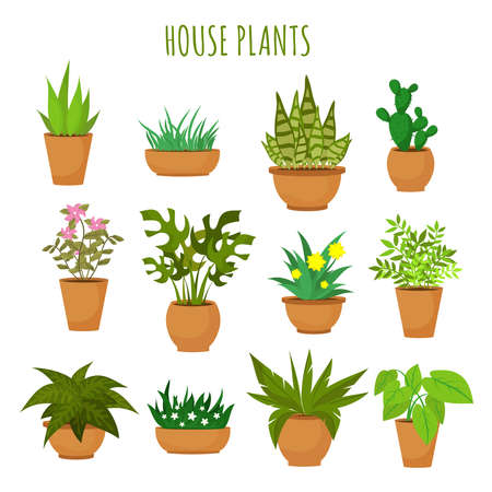 Preparing Your Plant and Workspace