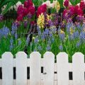 How to Create a Wildflower Garden That Supports Bee Populations