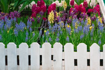 How to Create a Wildflower Garden That Supports Bee Populations