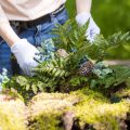 Low-Maintenance Landscaping Ideas for Every U.S. Climate Zone