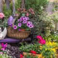 Container Gardening with Conservation in Mind: Save Water and Space