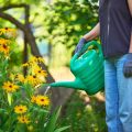 The Best Time to Start Planting in the U.S. by Region