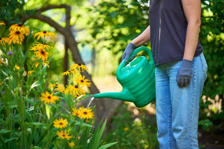The Best Time to Start Planting in the U.S. by Region