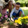 Educational Opportunities: Teaching Kids and Communities About Pollinator Conservation Through Gardening