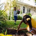 Native Landscaping Do’s and Don’ts for American Homeowners
