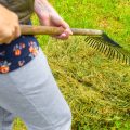 Rakes 101: Leaf Rakes, Bow Rakes, and More – What’s Right for Your Garden?