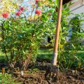 Understanding USDA Hardiness Zones for Perennial Gardening Success