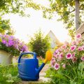 Building a Backyard Compost System: From Kitchen Scraps to Garden Gold
