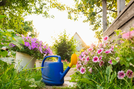 Building a Backyard Compost System: From Kitchen Scraps to Garden Gold