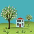 Organizing Your Garden Shed: Expert Tips and Storage Hacks