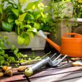 Failing to Rotate Crops: How It Affects Soil Health and Yields
