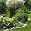 Dividing and Transplanting Perennials: When and How to Do It Right