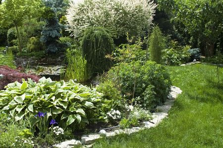 Dividing and Transplanting Perennials: When and How to Do It Right