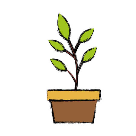Southeast: Taking Advantage of Longer Growing Seasons