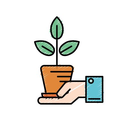 Seed Saving 101: How Zero-Waste Gardeners Preserve Biodiversity at Home
